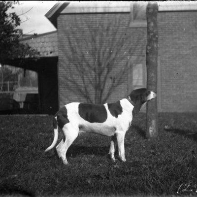 http://mediahistoricarchives.org/source/Appleton/AP-4249.jpg