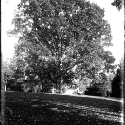 http://mediahistoricarchives.org/source/Appleton/AP-5127.jpg