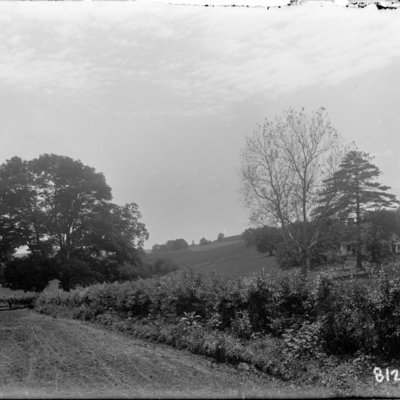 http://mediahistoricarchives.org/source/Appleton/AP-8122-67.jpg