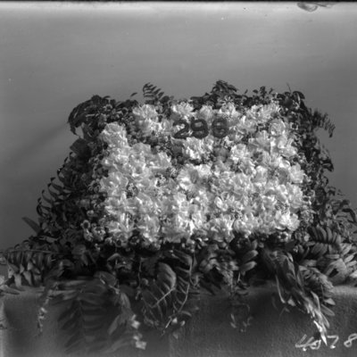 http://mediahistoricarchives.org/source/Appleton/AP-4078-2.jpg