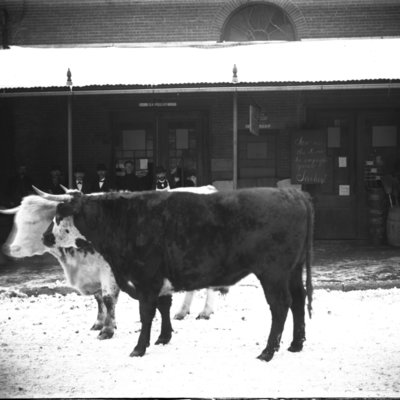 http://mediahistoricarchives.org/source/Appleton/AP-5135-1.jpg