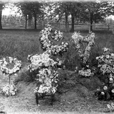 http://mediahistoricarchives.org/source/Appleton/AP-5199.jpg