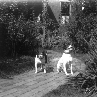 http://mediahistoricarchives.org/source/Appleton/AP-4071.jpg