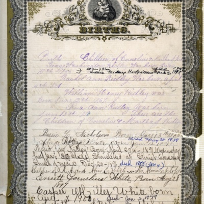 http://mediahistoricarchives.org/source/Lemon/LE-009.jpg