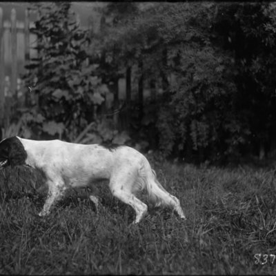 http://mediahistoricarchives.org/source/Appleton/AP-8379-2.jpg