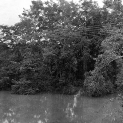 http://mediahistoricarchives.org/source/Lees/P-16009.jpg