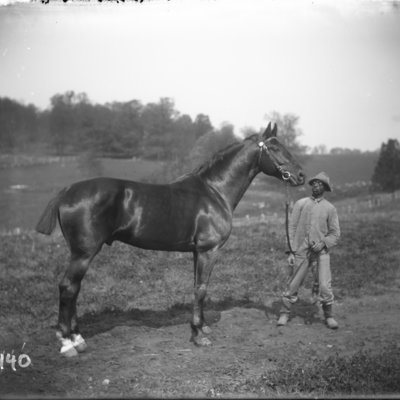 http://mediahistoricarchives.org/source/Appleton/AP-8140.jpg