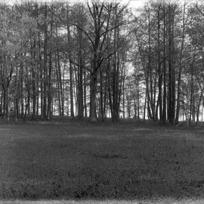 http://mediahistoricarchives.org/source/Appleton/AP-9043.jpg