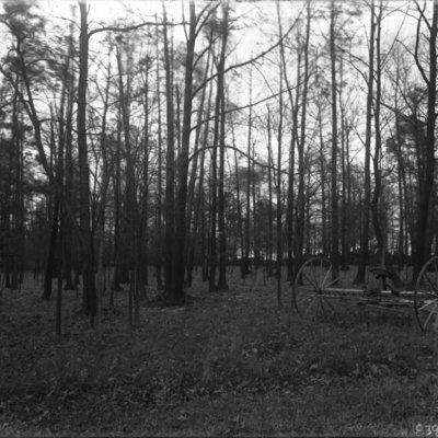 http://mediahistoricarchives.org/source/Appleton/AP-8396-1.jpg