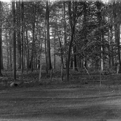 http://mediahistoricarchives.org/source/Appleton/AP-9047.jpg