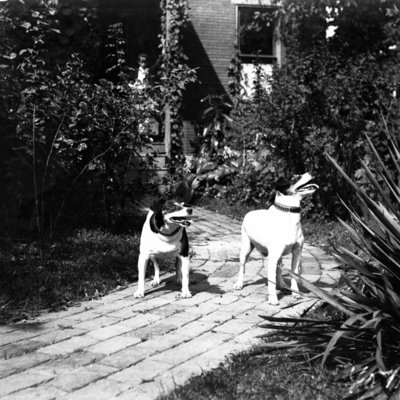 http://mediahistoricarchives.org/source/Appleton/AP-4071-1.jpg