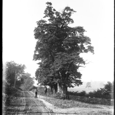 http://mediahistoricarchives.org/source/Appleton/AP-5058-1.jpg