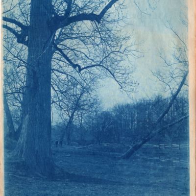 http://mediahistoricarchives.org/source/Lees/P-14009D.jpg