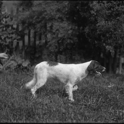 http://mediahistoricarchives.org/source/Appleton/AP-8379-1.jpg