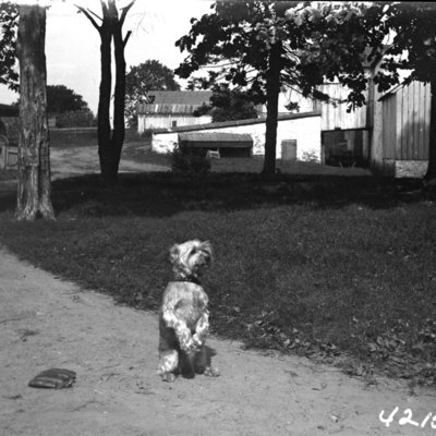 http://mediahistoricarchives.org/source/Appleton/AP-4215-2.jpg
