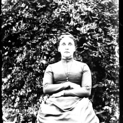 http://mediahistoricarchives.org/source/Appleton/AP-5108.jpg